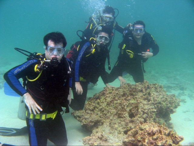  Group of submerged divers